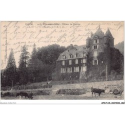 AFEP1-15-0042 - Cantal - VIC-SUR-CERE - château de comblat