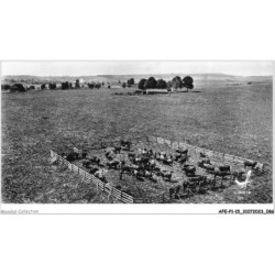 AFEP1-15-0044 - Agriculture - l'élévage dans le cantal - badailhac - cantal