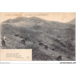 ABHP8-15-0713 - Le Cantal Pittoresque - Vacherie au Col de ROMBIERE
