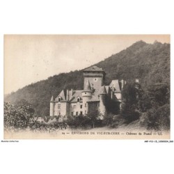 ARFP12-0859-15 - ENVIRONS DE VIC-SUR-CERE - Chateau de Pestel