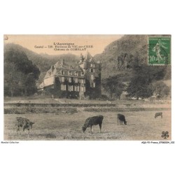 AQSP2-0115-15 - ENVIRONS DE VIC-SUR-CERE - Chateau de comblat