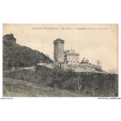 AOCP9-0635-15 - chateau de PESTEILS - facade ouest