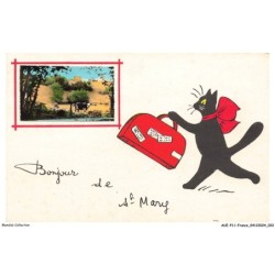 AUEP11-0744-16 - ST-MARY - bonjour - chat
