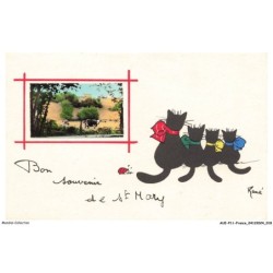 AUEP11-0742-16 - ST-MARY - bon souvenir - chat