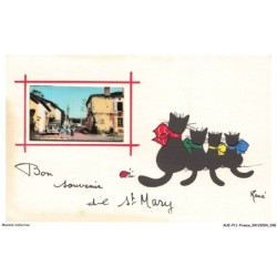 AUEP11-0752-16 - ST-MARY - bon souvenir - chat