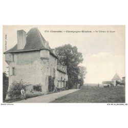 ATUP5-0338-16 - CHAMPAGNE-MOUTON - Le chateau de guyer