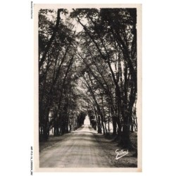 ARFP13-0927-16 - CHASSENEUIL - La grande allee du chateau