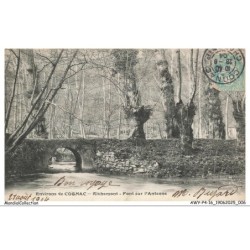 AWYP4-0238-16 - Environs de COGNAC - RICHEMONT - Pont sur l'antenne