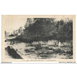 AWYP4-0252-16 - MONTIGNAC - La belle charente