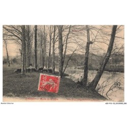 AZVP12-1177-15 - AMBERT - Bords de la dore