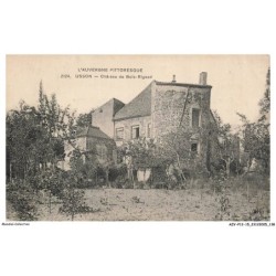 AZVP12-1232-15 - L'AUVERGNE PITTORESQUE - USSON - Chateau de bois-rigaud