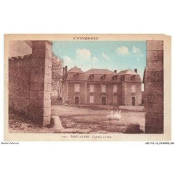AZVP13-1274-15 - L'AUVERGNE - SAINT-ALYRE - Chateau de seis